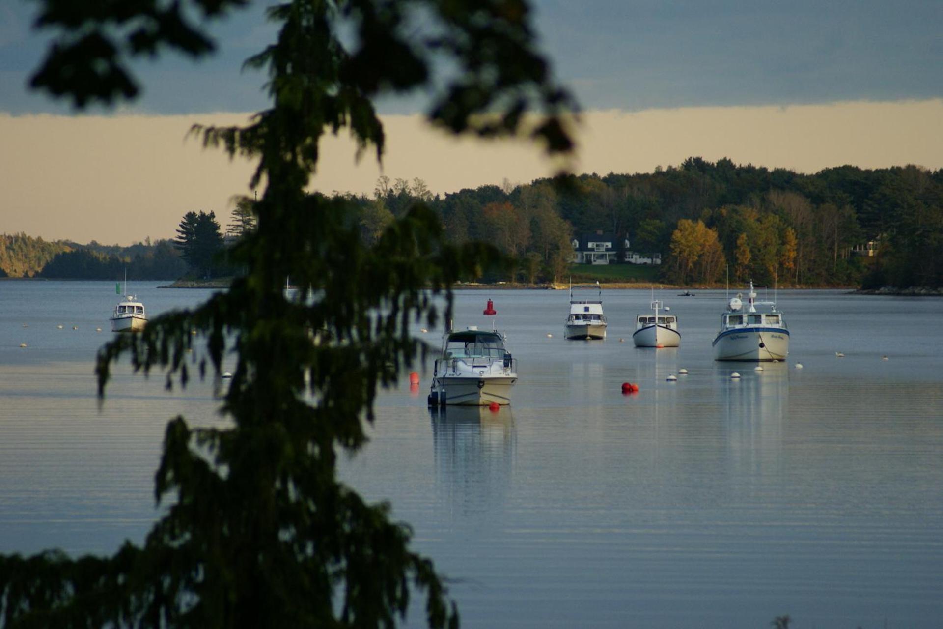 Fisherman'S Daughter B&B Mahone Bay Exterior photo